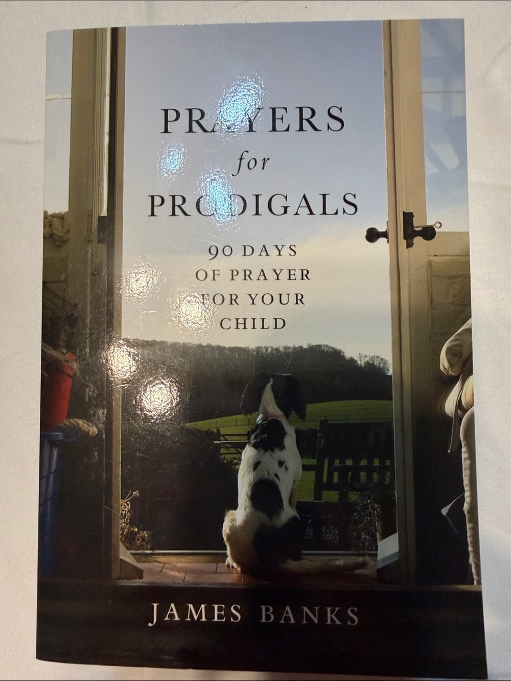 Prayers for Prodigals by — White and Black Cover